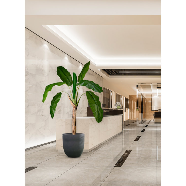 Primrue 71'' Faux Banana Leaf Tree in Pot Wayfair